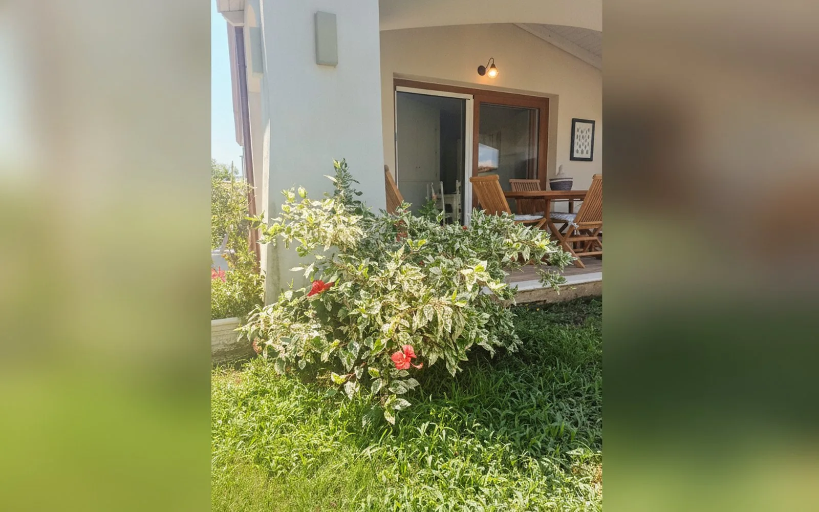 Villa Diletta,