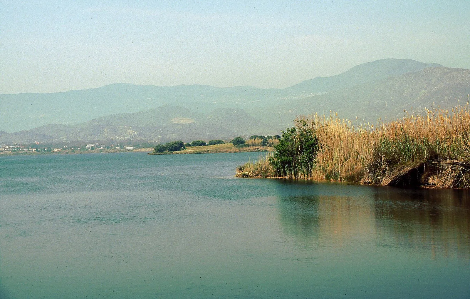 Lo stagno di Tortoli con i canneti sulla riva e i rilievi sullo sfondo