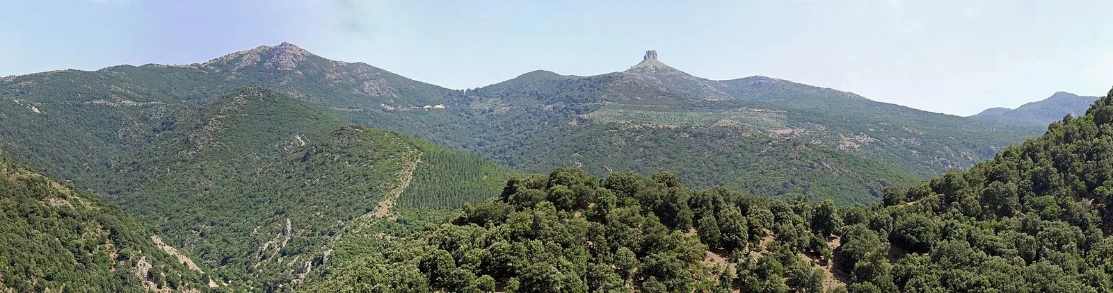 Il rilievo calcareo di Perda Liana che emerge dai boschi dell'entroterra ogliastrino