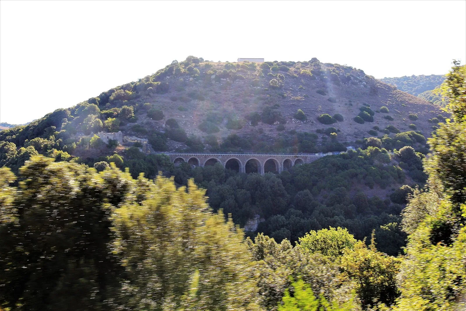 Un viadotto del Trenino Verde della Sardegna immerso nella vegetazione